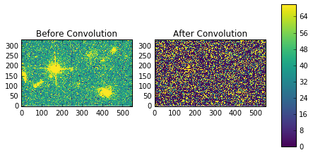 _images/images.imfilter_38_0.png