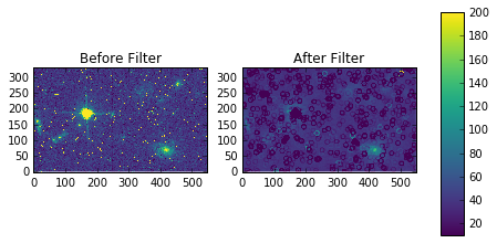 _images/images.imfilter_62_0.png